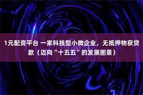 1元配资平台 一家科技型小微企业，无抵押物获贷款（迈向“十五五”的发展图景）