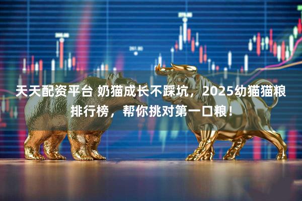 天天配资平台 奶猫成长不踩坑，2025幼猫猫粮排行榜，帮你挑对第一口粮！