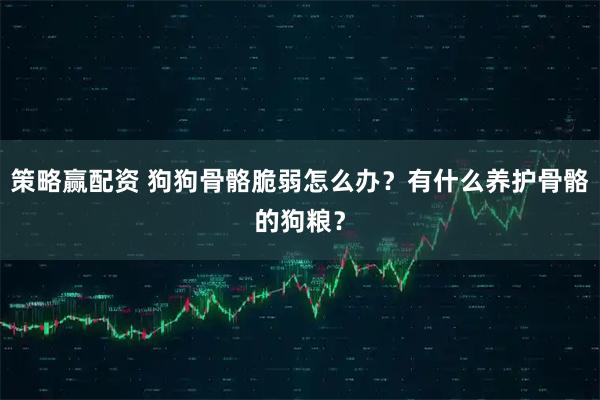 策略赢配资 狗狗骨骼脆弱怎么办？有什么养护骨骼的狗粮？
