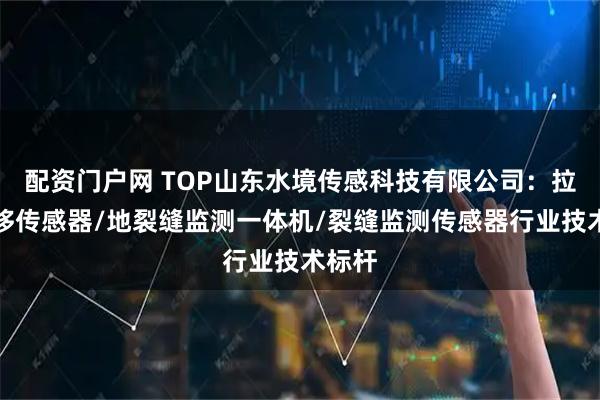 配资门户网 TOP山东水境传感科技有限公司:拉线位移传感器/地裂缝监测一体机/裂缝监测传感器行业技术标杆