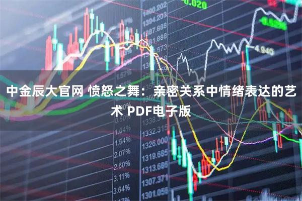 中金辰大官网 愤怒之舞：亲密关系中情绪表达的艺术 PDF电子版