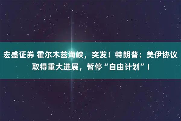 宏盛证券 霍尔木兹海峡，突发！特朗普：美伊协议取得重大进展，暂停“自由计划”！
