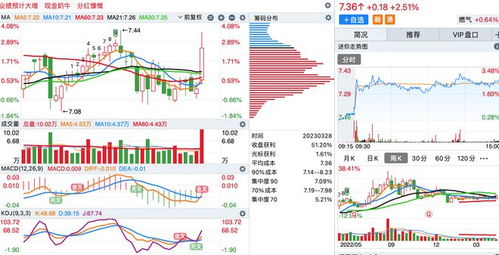 macd kdj 同时进入金叉个股一览
